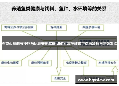 布克心理调节技巧与比赛策略解析 如何在高压环境下保持冷静与高效发挥 布克心理调节技巧与比赛策略解析 如何在高压环境下保持冷静与高效发挥