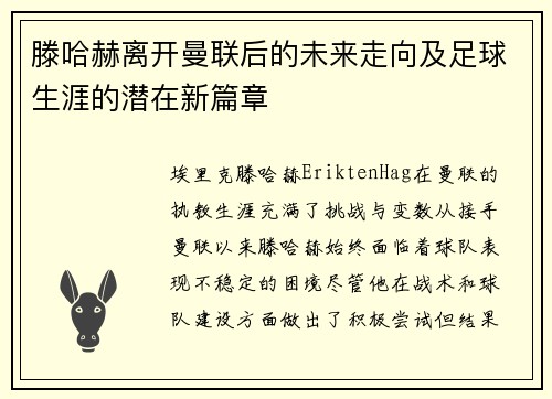 滕哈赫离开曼联后的未来走向及足球生涯的潜在新篇章
